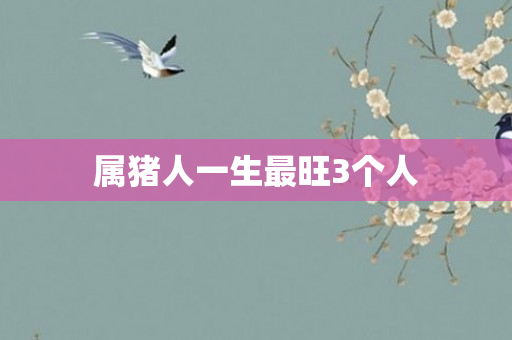 属猪人一生最旺3个人