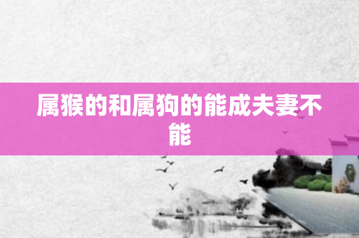 属猴的和属狗的能成夫妻不能