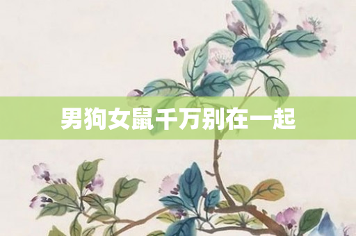 男狗女鼠千万别在一起
