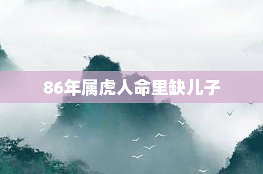 86年属虎人命里缺儿子