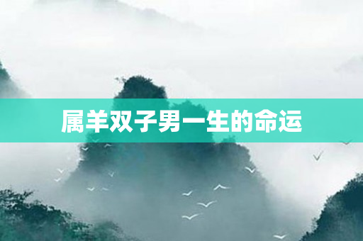 属羊双子男一生的命运