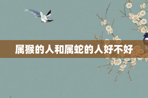 属猴的人和属蛇的人好不好