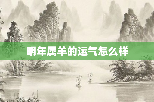 明年属羊的运气怎么样