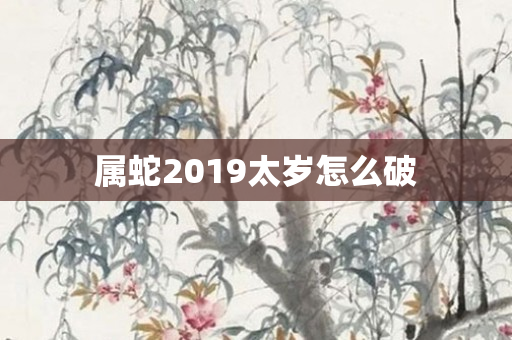 属蛇2019太岁怎么破