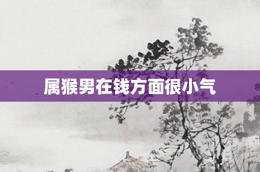 属猴男在钱方面很小气