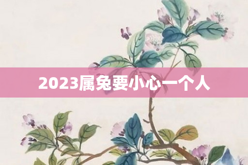 2023属兔要小心一个人