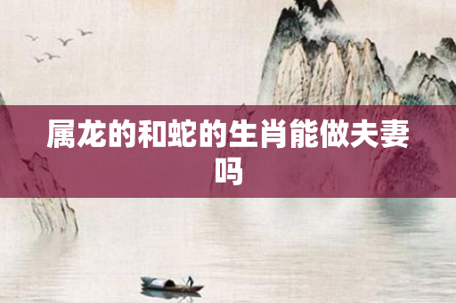属龙的和蛇的生肖能做夫妻吗