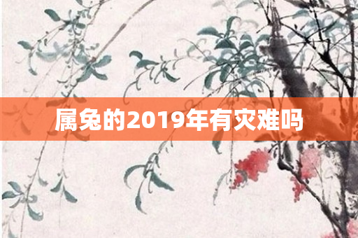 属兔的2019年有灾难吗