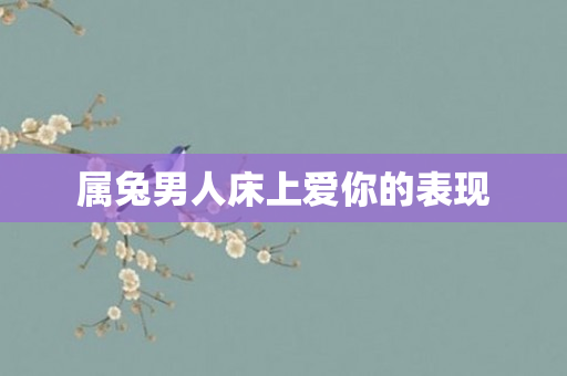 属兔男人床上爱你的表现