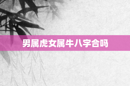 男属虎女属牛八字合吗