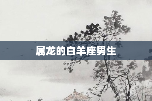 属龙的白羊座男生