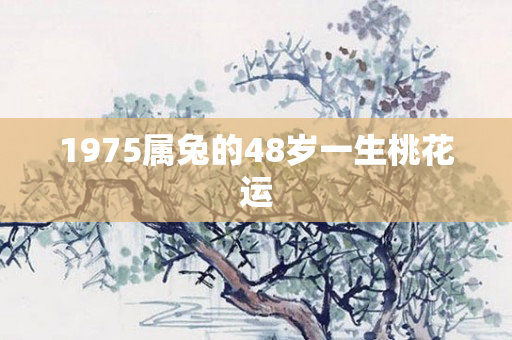 1975属兔的48岁一生桃花运