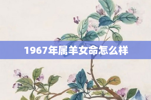 1967年属羊女命怎么样