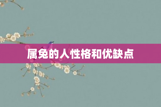 属兔的人性格和优缺点