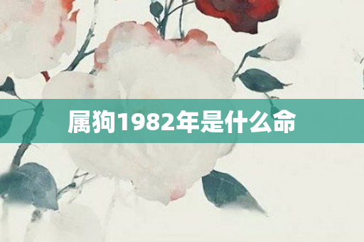 属狗1982年是什么命