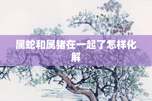 属蛇和属猪在一起了怎样化解