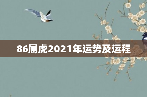 86属虎2021年运势及运程