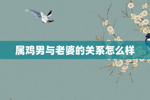 属鸡男与老婆的关系怎么样