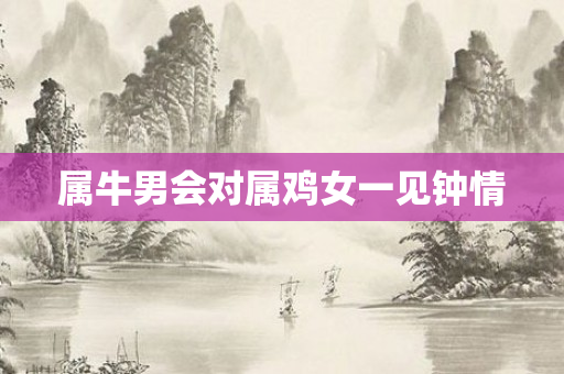 属牛男会对属鸡女一见钟情