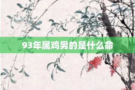 93年属鸡男的是什么命