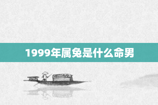 1999年属兔是什么命男