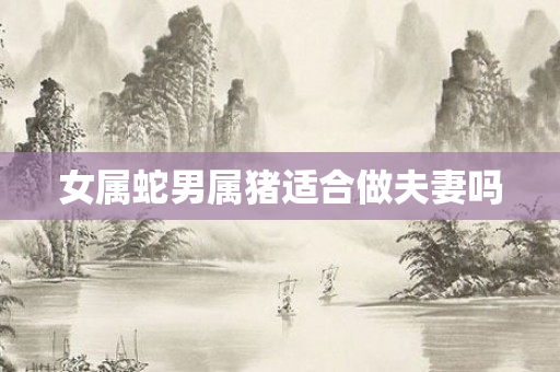 女属蛇男属猪适合做夫妻吗