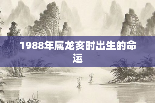 1988年属龙亥时出生的命运