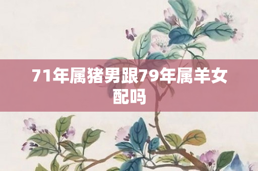 71年属猪男跟79年属羊女配吗