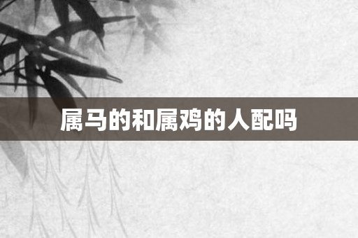 属马的和属鸡的人配吗