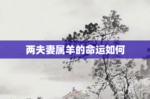 两夫妻属羊的命运如何