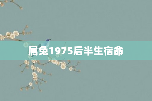 属兔1975后半生宿命