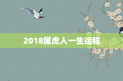 2018属虎人一生运程