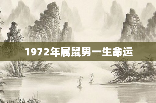 1972年属鼠男一生命运