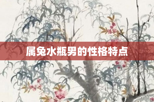 属兔水瓶男的性格特点