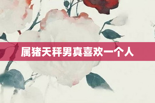 属猪天秤男真喜欢一个人