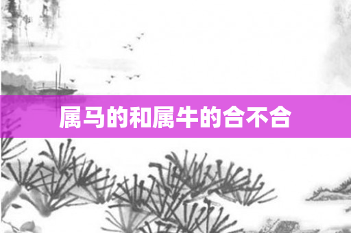 属马的和属牛的合不合