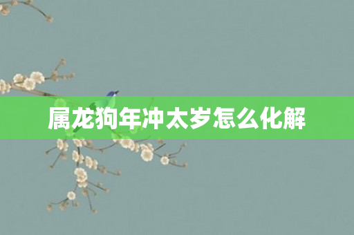 属龙狗年冲太岁怎么化解
