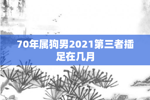 70年属狗男2021第三者插足在几月