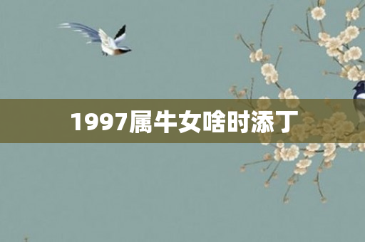 1997属牛女啥时添丁
