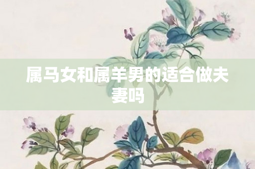 属马女和属羊男的适合做夫妻吗