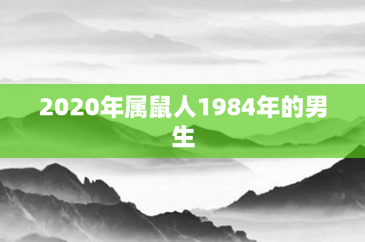 2020年属鼠人1984年的男生