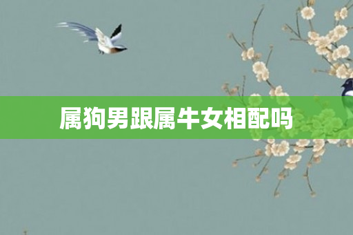 属狗男跟属牛女相配吗