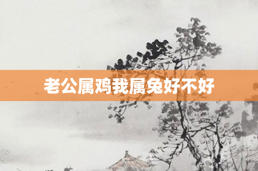 老公属鸡我属兔好不好
