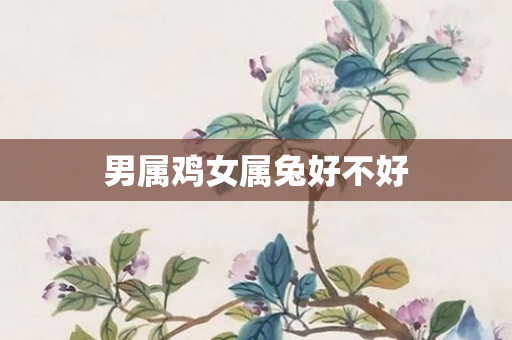 男属鸡女属兔好不好