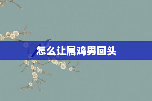 怎么让属鸡男回头