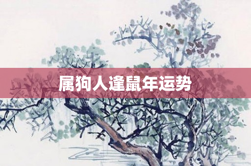 属狗人逢鼠年运势