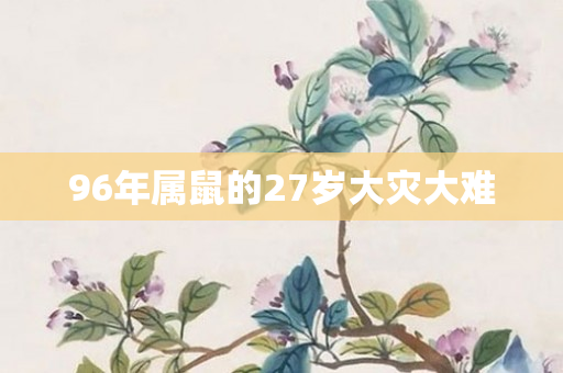 96年属鼠的27岁大灾大难