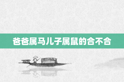 爸爸属马儿子属鼠的合不合