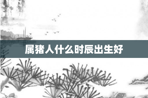 属猪人什么时辰出生好