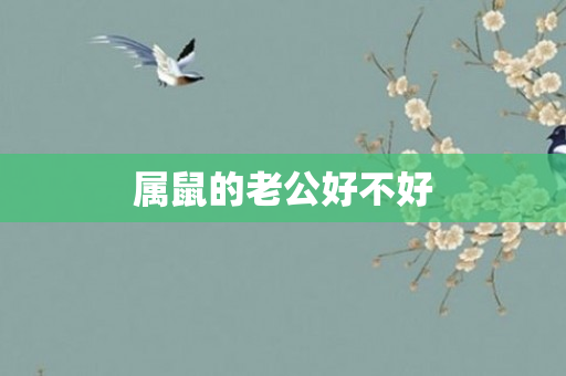 属鼠的老公好不好